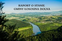Raport o stanie Gminy Łososina Dolna za 2021 rok