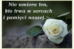 Kondolencje i wyrazy współczucia