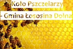 Refundacja kosztów do zakupu sprzętu pszczelarskiego